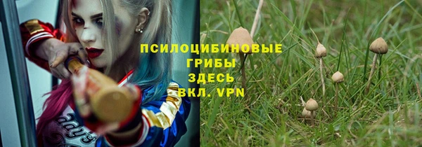 таблы Бородино