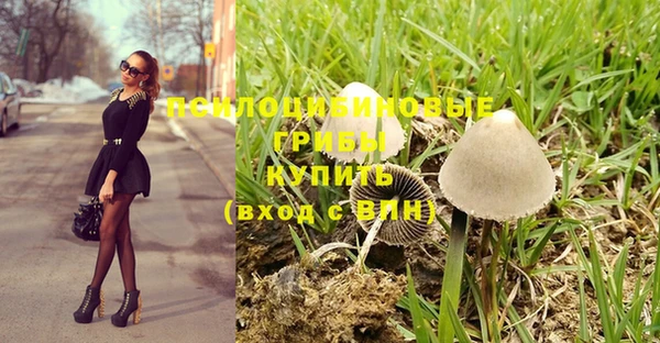 герыч Богородск