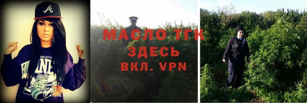 дурь Богородицк