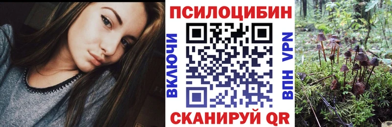 где найти   Малмыж  Галлюциногенные грибы Cubensis 